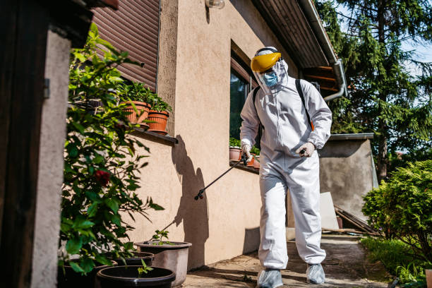 Best Wildlife Control Services  in Lucerne, CA