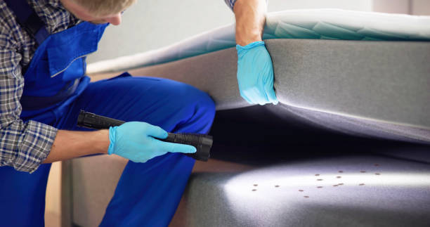 Best Pest Control for Businesses  in Lucerne, CA