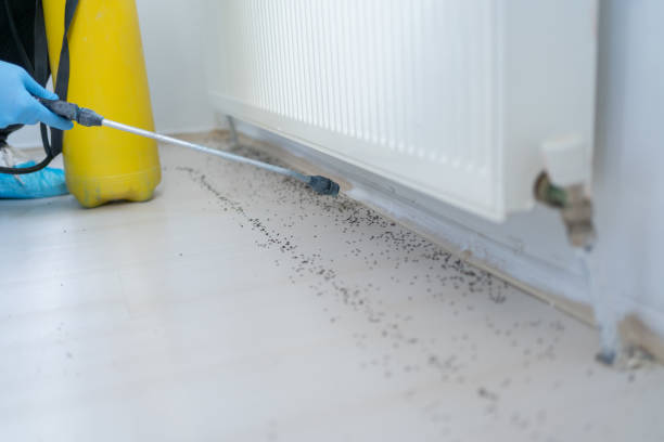 Best Commercial Pest Control Services  in Lucerne, CA