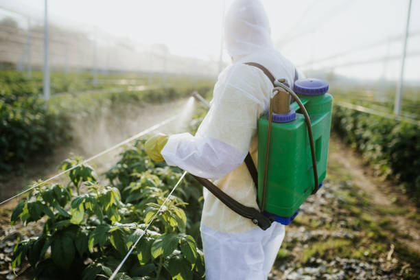 Best Best Pest Control Companies  in Lucerne, CA